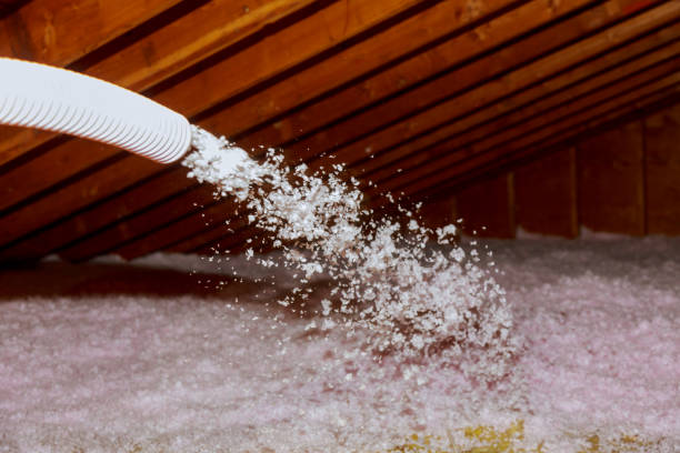 Best Energy Efficiency Solutions in Trinity, AL