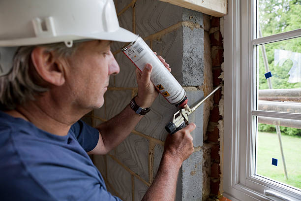 Best Insulation Installation Services in Trinity, AL